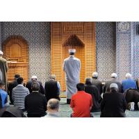 2305 Mittagsgebet Gebetsraum Eyüp Sultan Moschee; Hamburg Harburg | 
